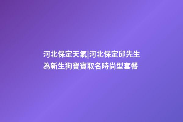 河北保定天氣|河北保定邱先生為新生狗寶寶取名時尚型套餐-第1張-公司起名-玄機(jī)派